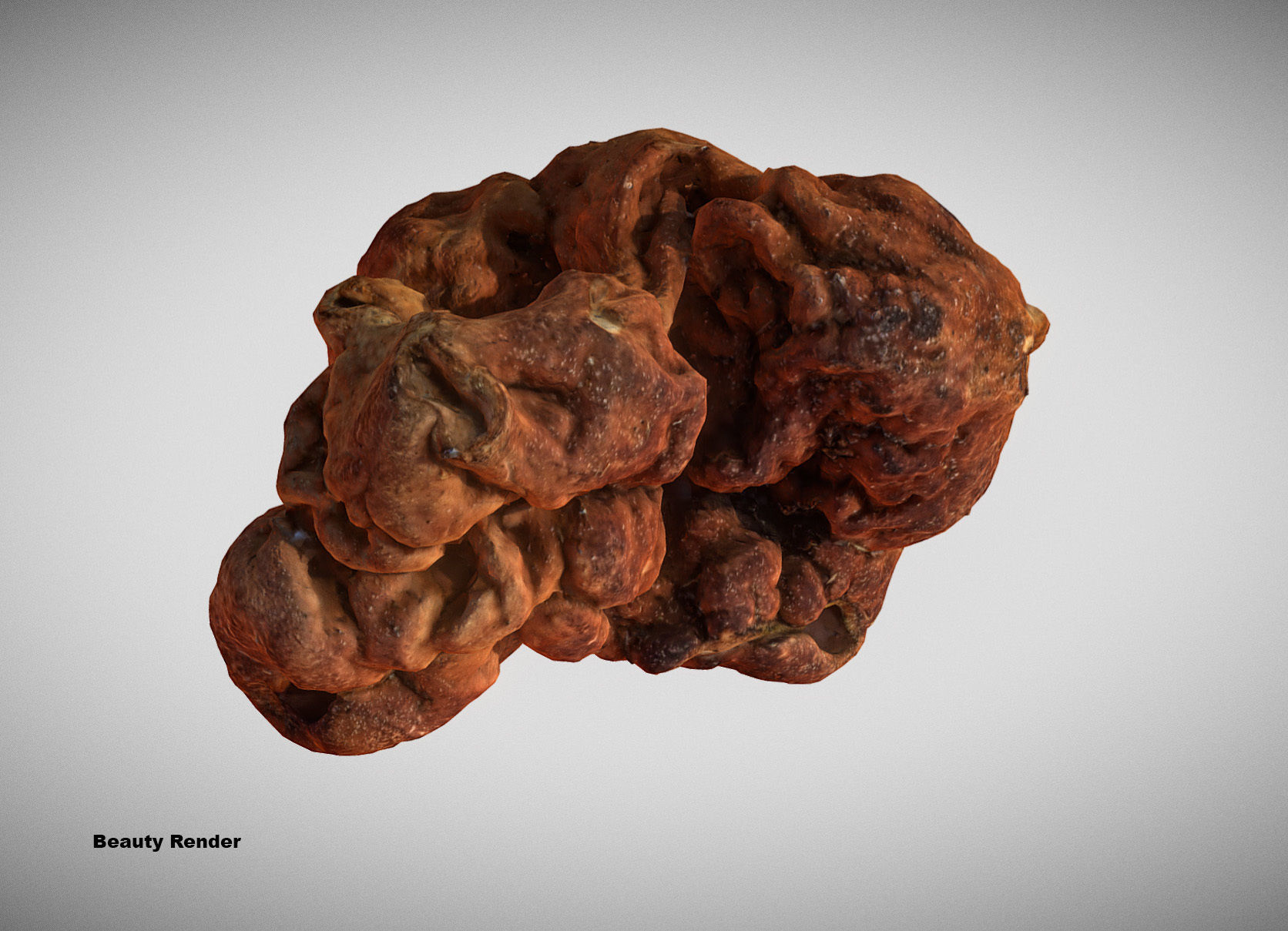 Gyromitra brain mushroom turban fungus beefsteak mushroom 3D model_4