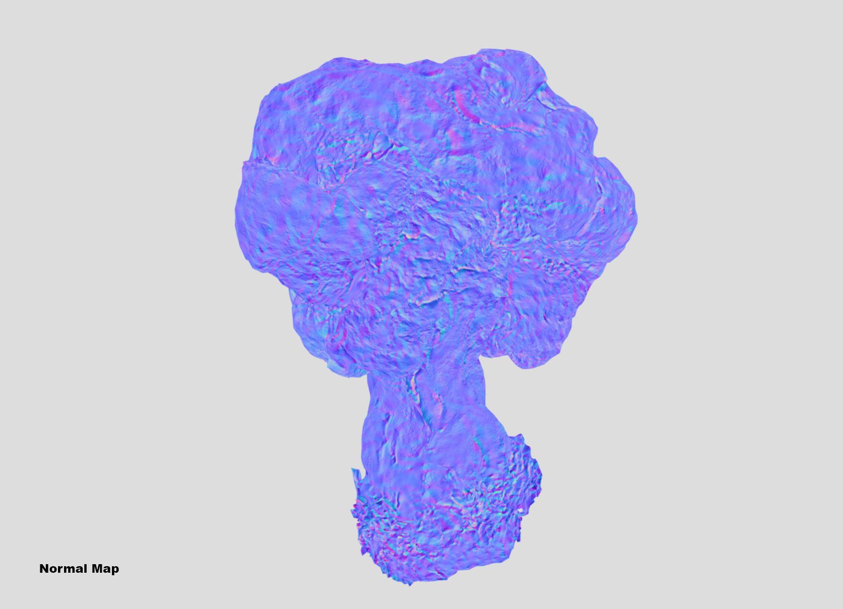 Gyromitra brain mushroom turban fungus beefsteak mushroom 3D model_45