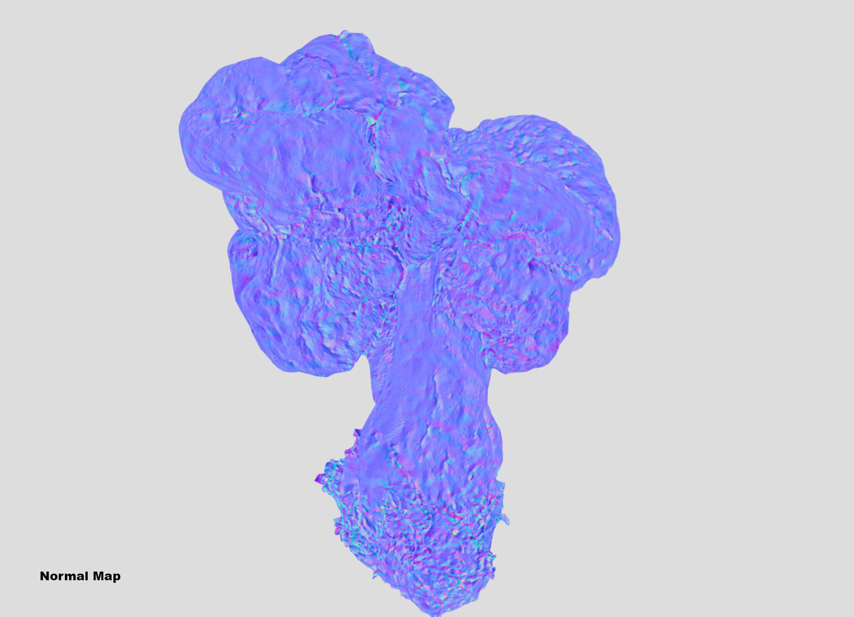 Gyromitra brain mushroom turban fungus beefsteak mushroom 3D model_48