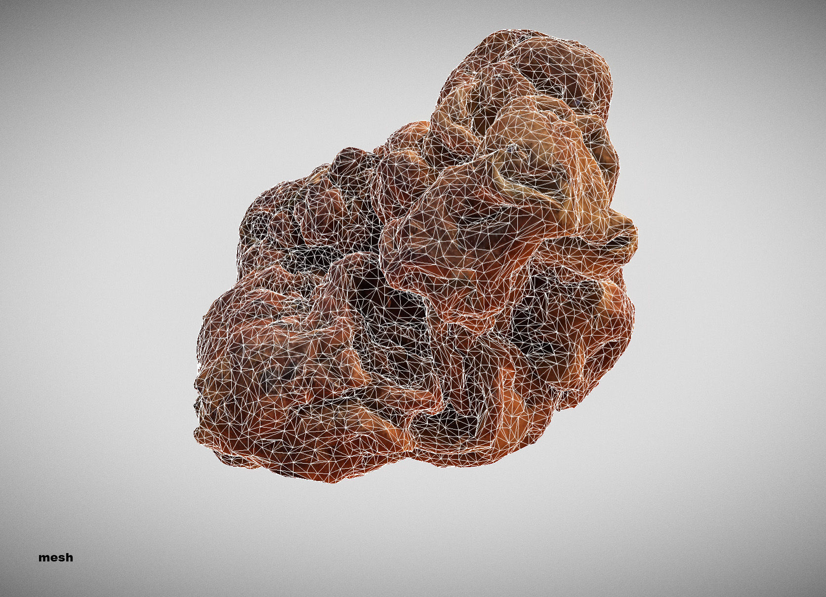 Gyromitra brain mushroom turban fungus beefsteak mushroom 3D model_33