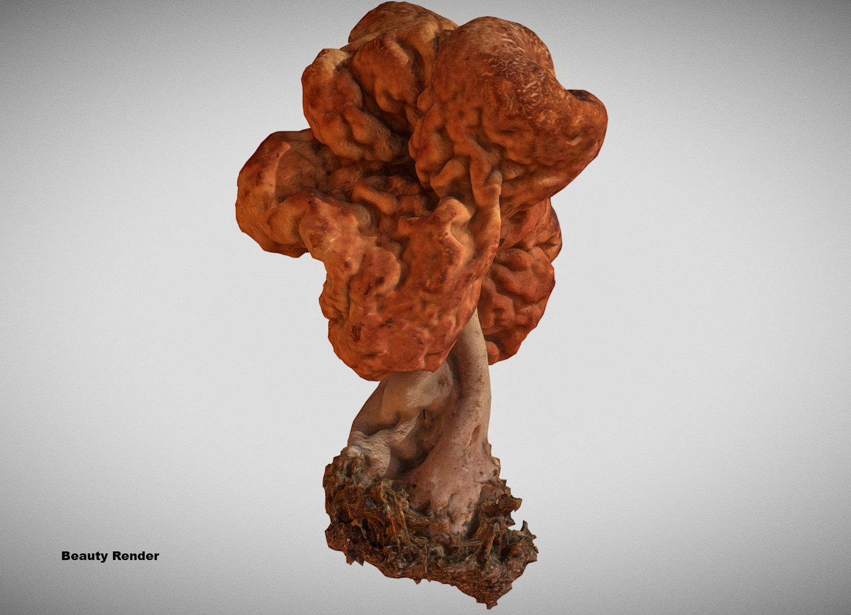 Gyromitra brain mushroom turban fungus beefsteak mushroom 3D model_3