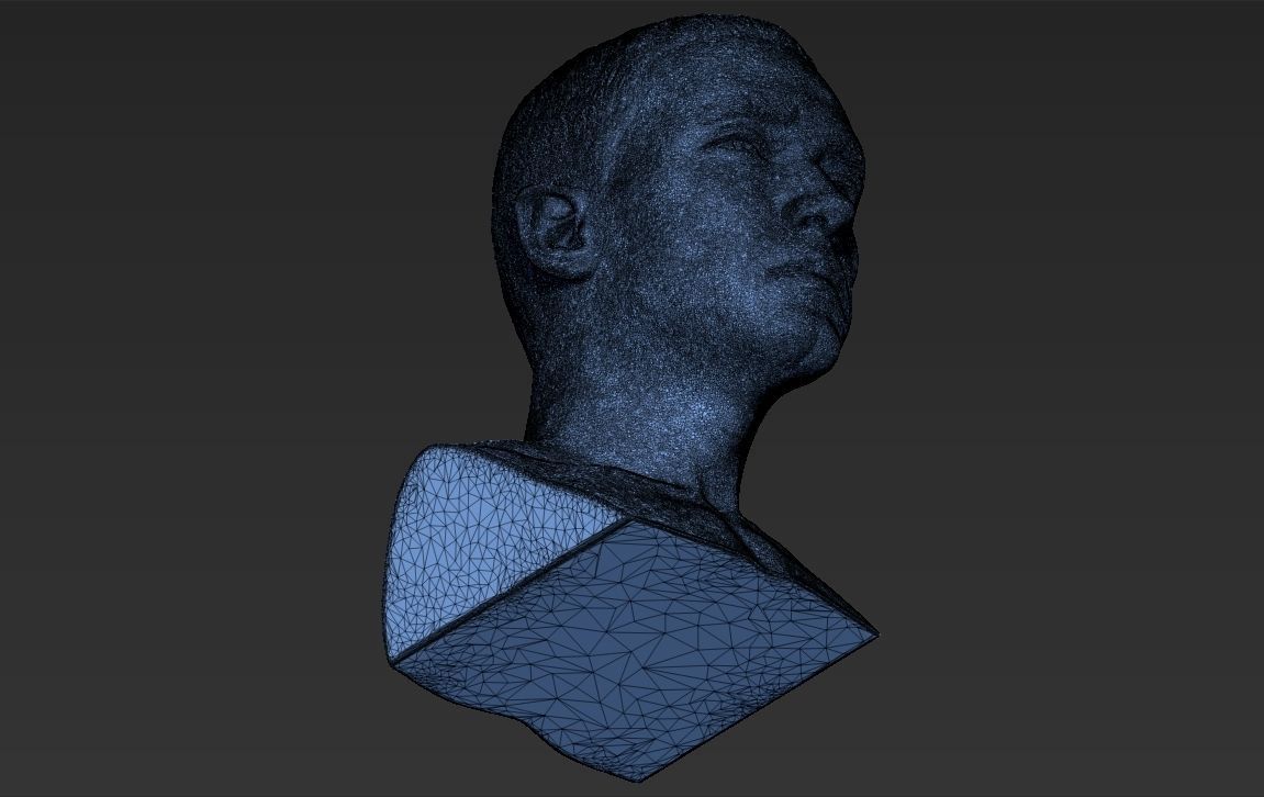 Eminem bust ready for full color 3D printing 3D print model_46