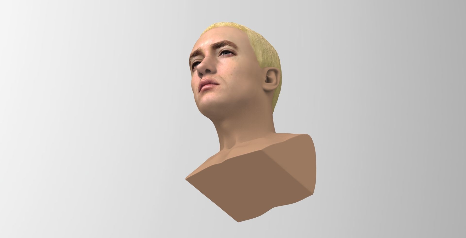Eminem bust ready for full color 3D printing 3D print model_13