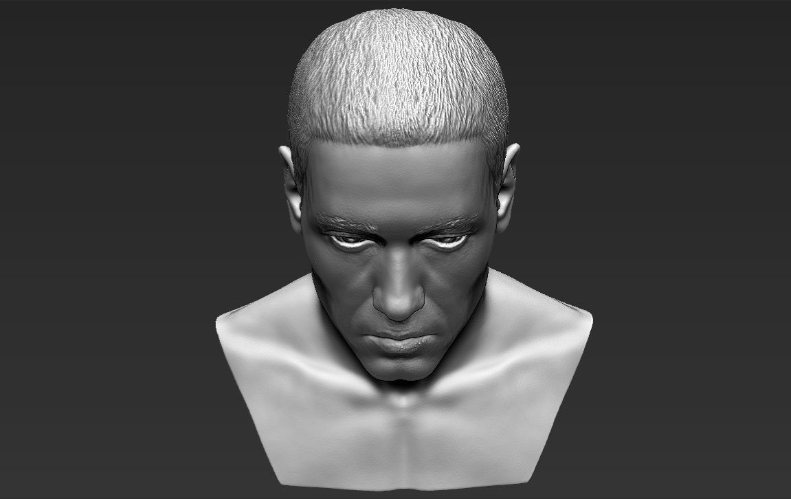 Eminem bust ready for full color 3D printing 3D print model_33