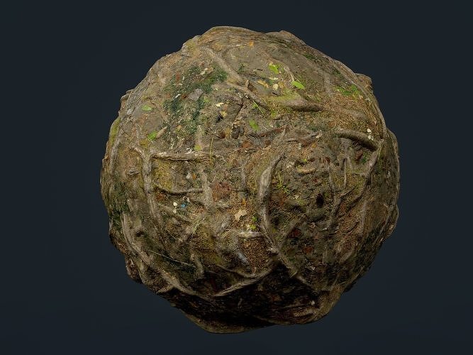 Forest Ground Terrain Seamless PBR Texture Texture