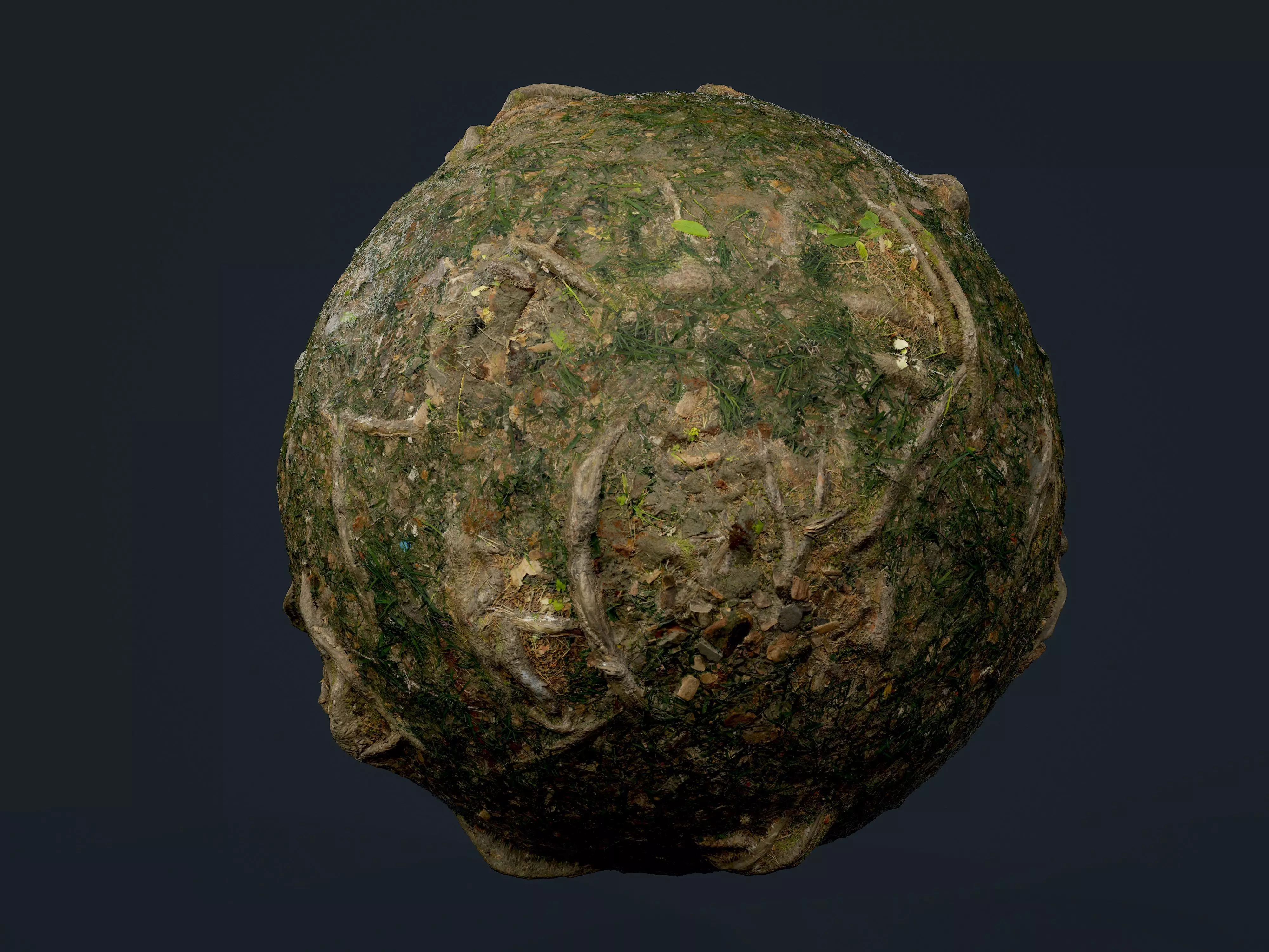 Forest Dirt Ground Seamless PBR Texture Texture