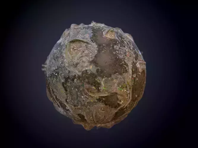 Forest Mud Ground Seamless PBR Texture