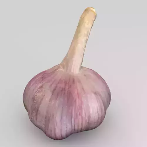 Garlic