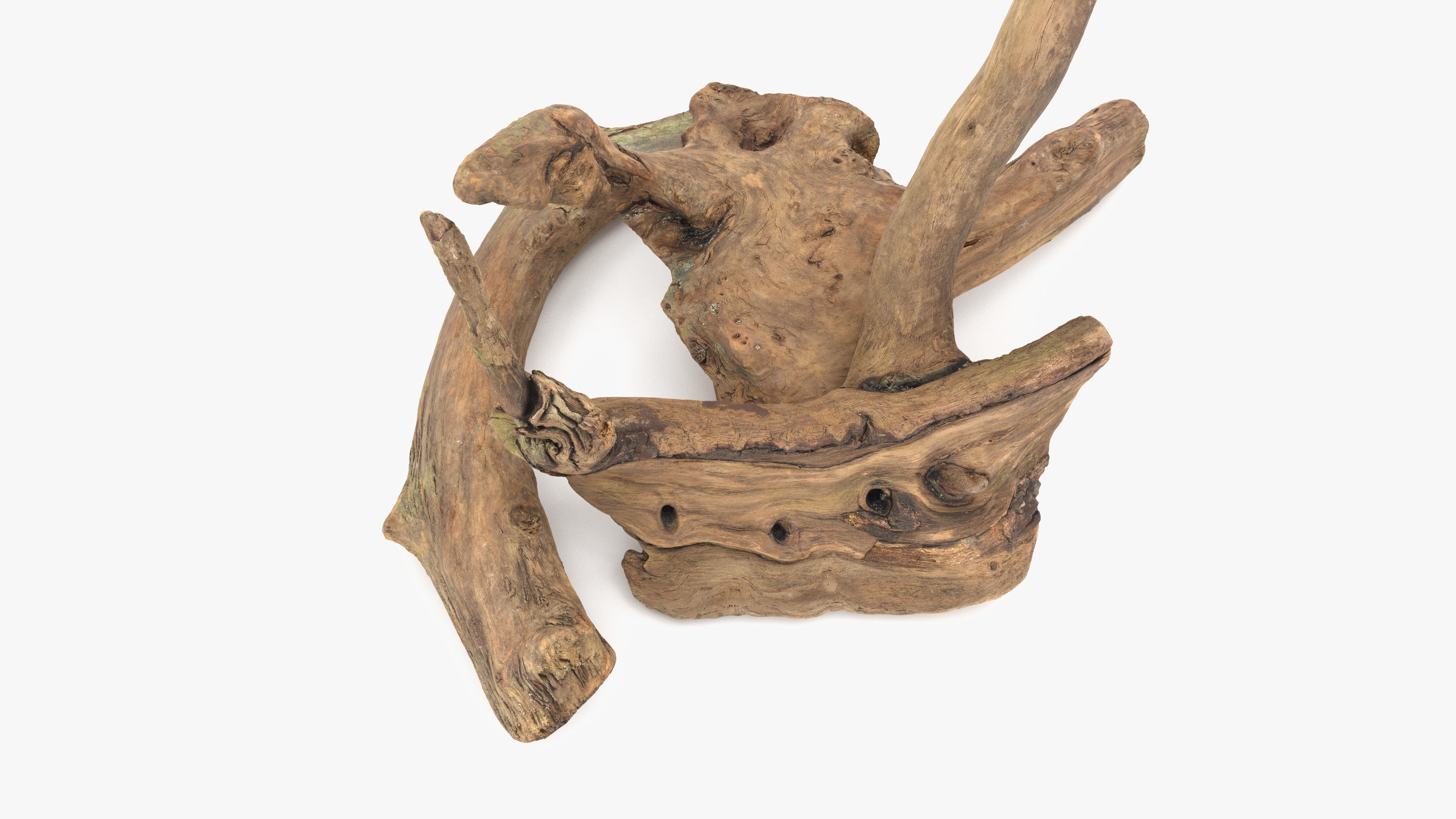 3D model Old Wood Roots VR / AR / low-poly | CGTrader