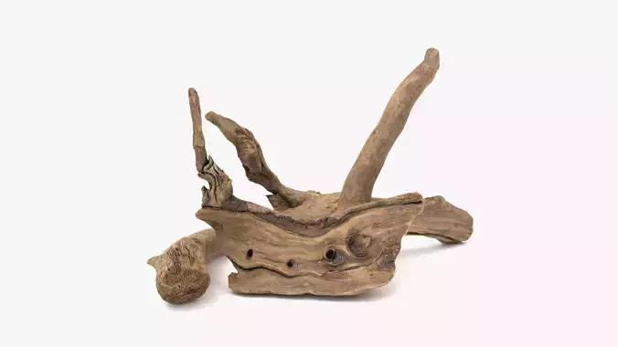 Old Wood Roots Low-poly 3D model