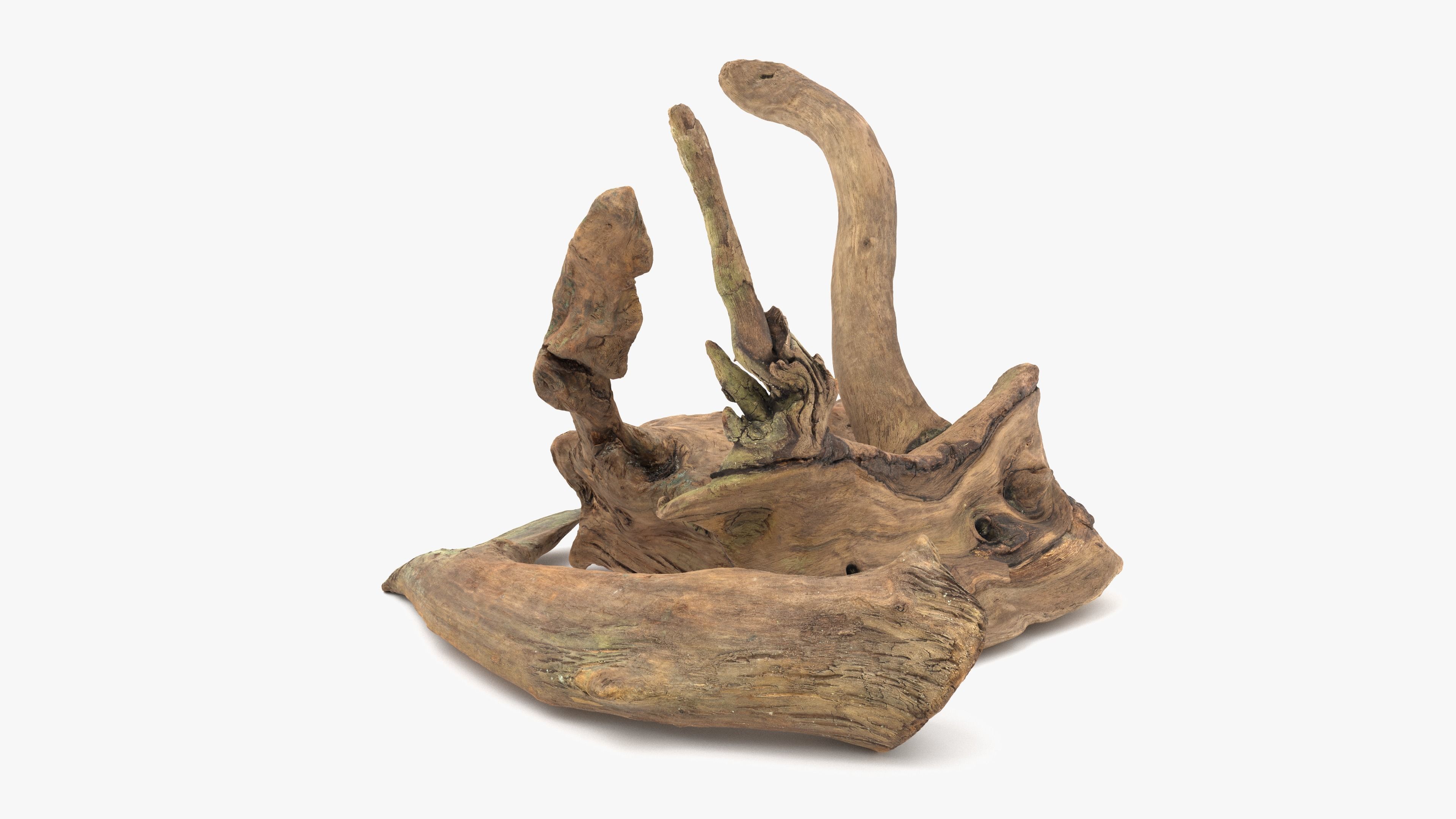 3D model Old Wood Roots VR / AR / low-poly | CGTrader