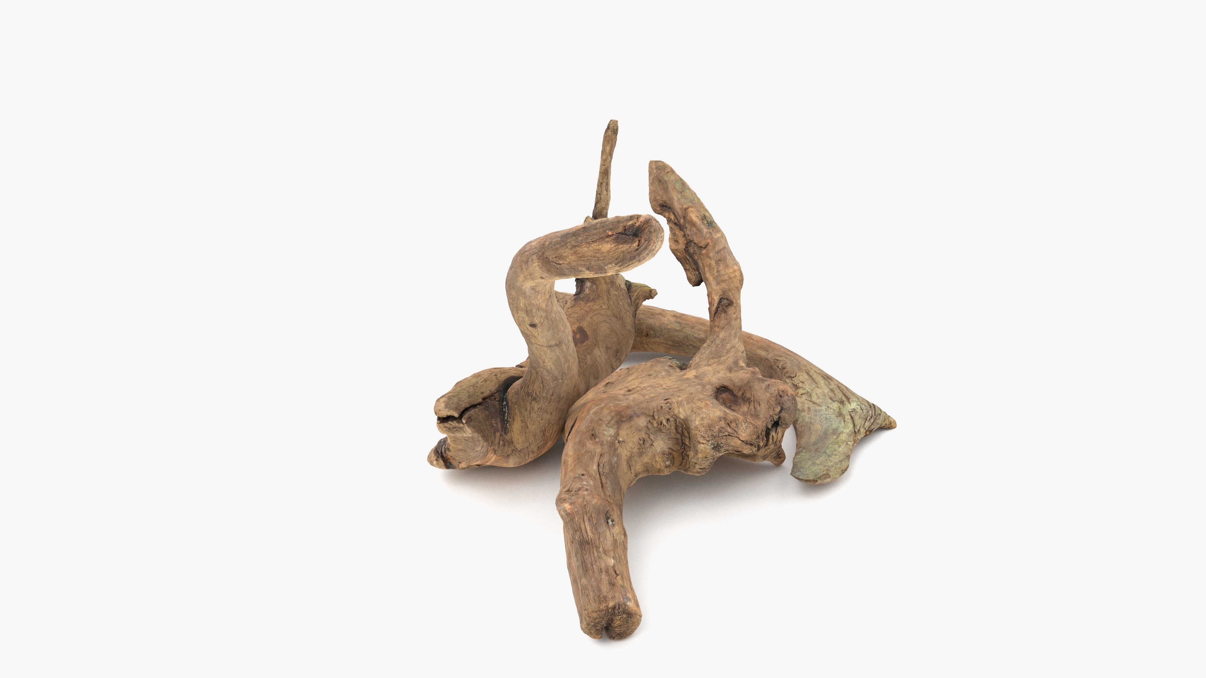 3D model Old Wood Roots VR / AR / low-poly | CGTrader