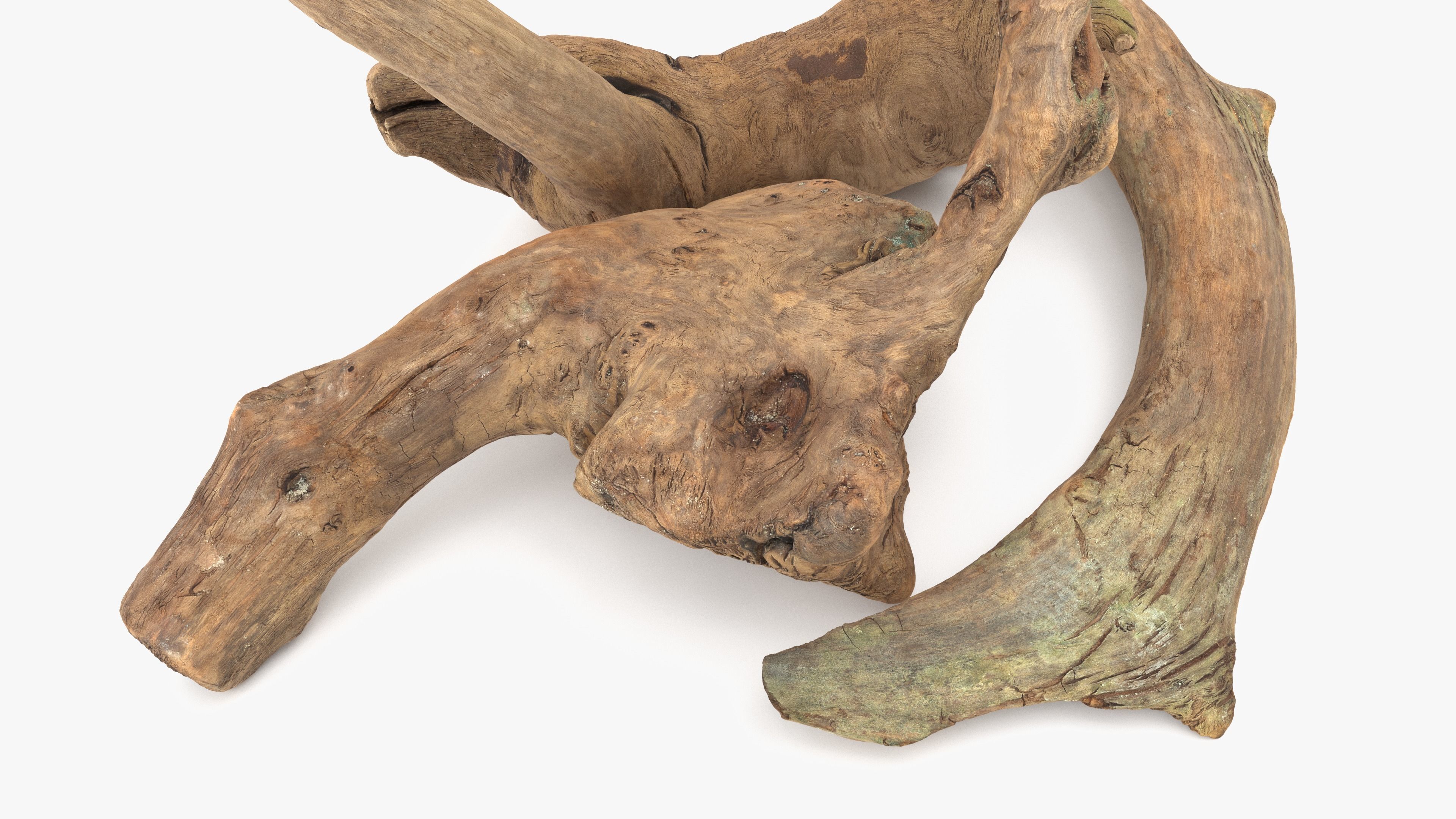 3D model Old Wood Roots VR / AR / low-poly | CGTrader