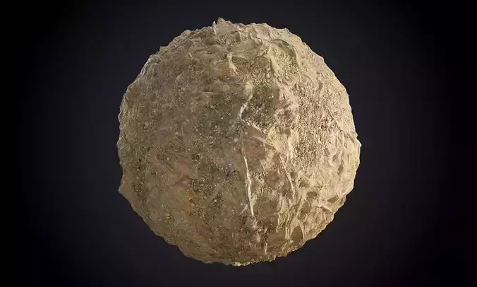 Forest Ground Terrain Tree Root Seamless PBR Texture