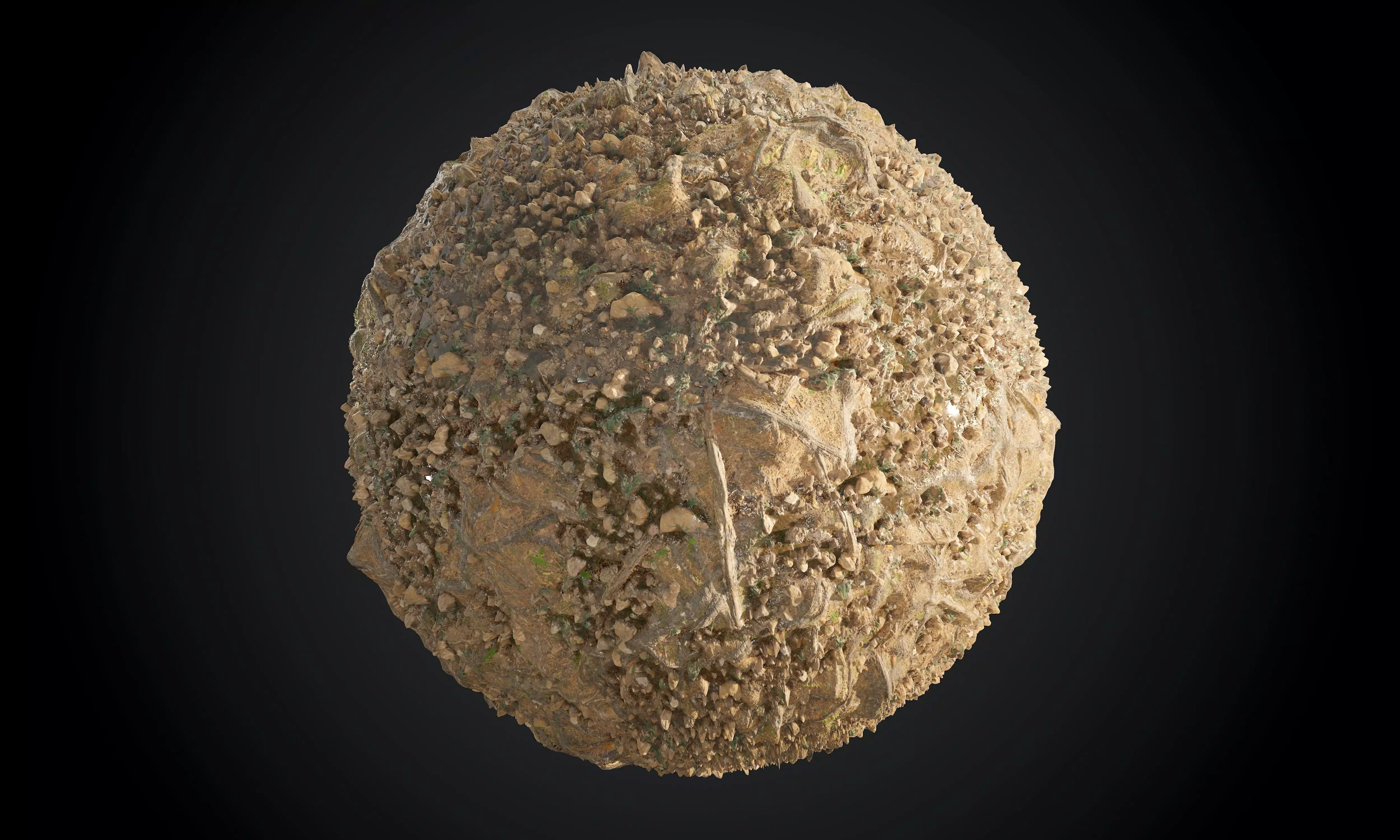 Forest Ground Terrain Seamless PBR Texture Texture_0