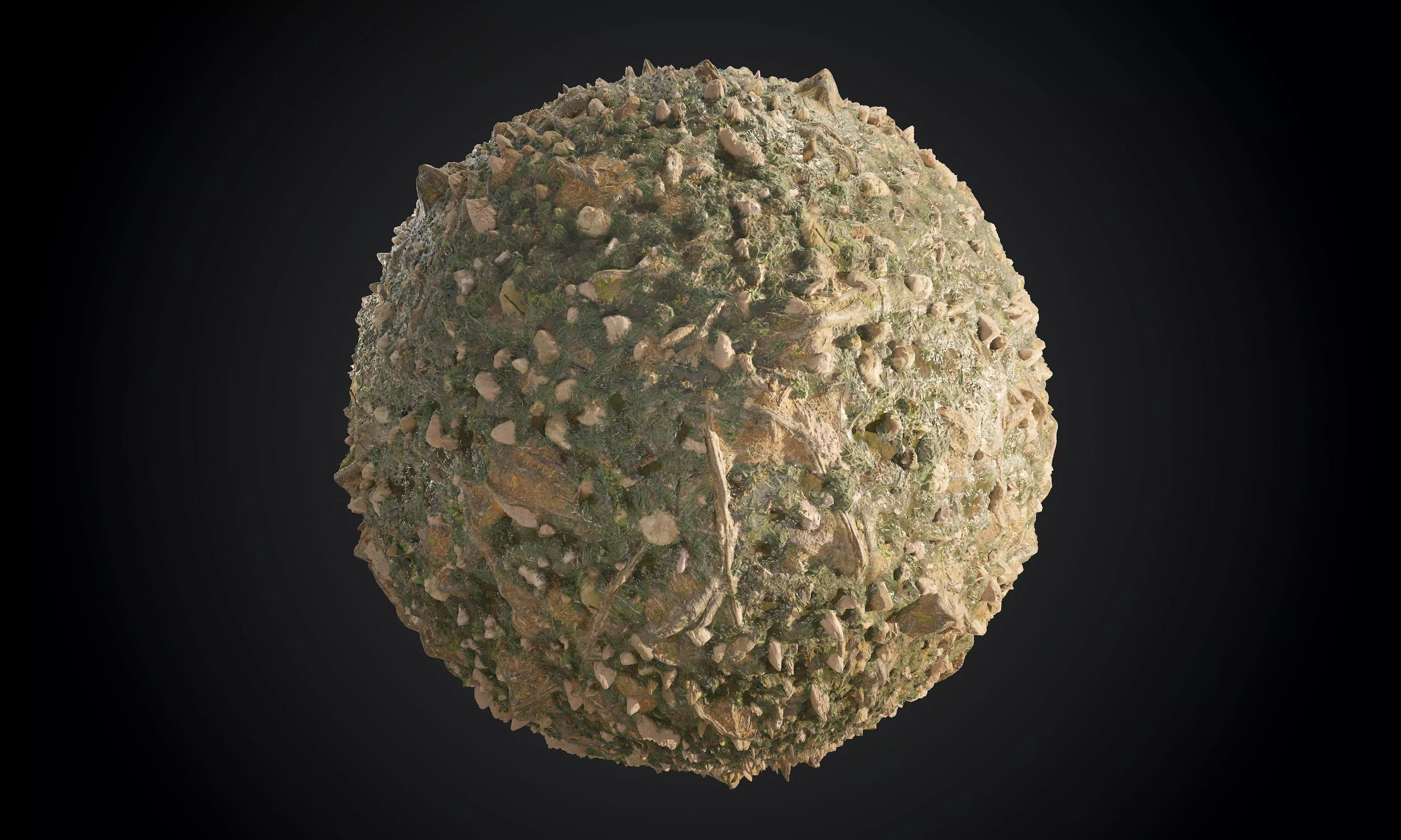 Forest Ground Dirt Seamless PBR Texture Texture_0