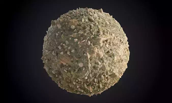 Forest Ground Dirt Seamless PBR Texture