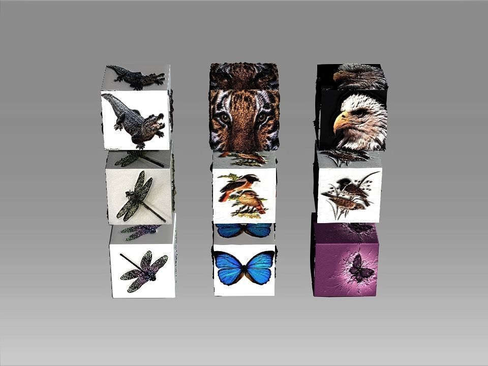 9 Textures collection box with birds Texture_5