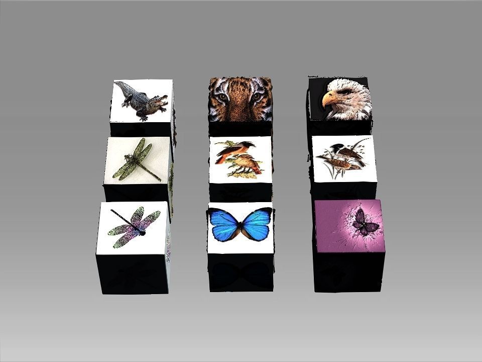 9 Textures collection box with birds Texture_7
