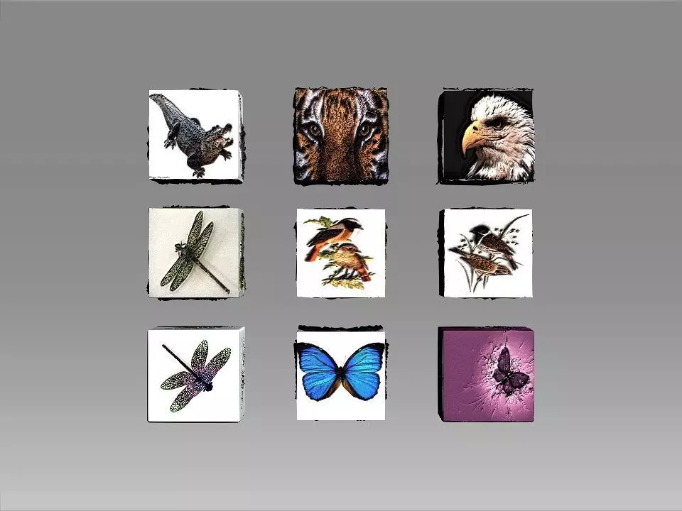 9 Textures collection box with birds Texture_0
