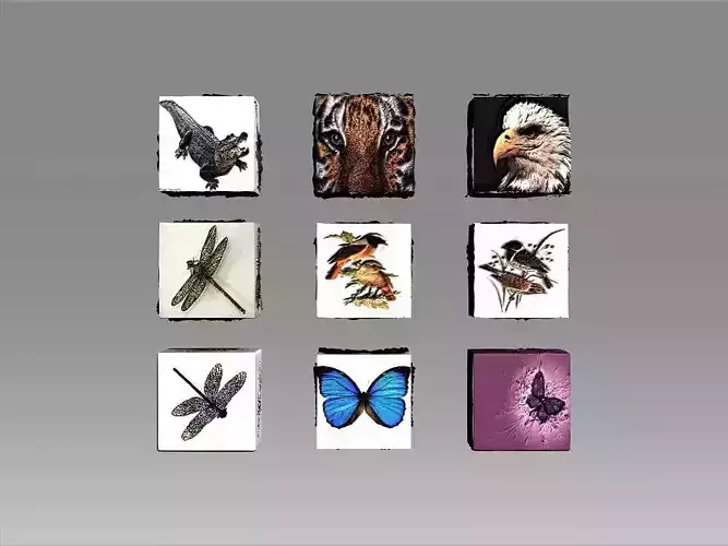 9 Textures collection box with birds