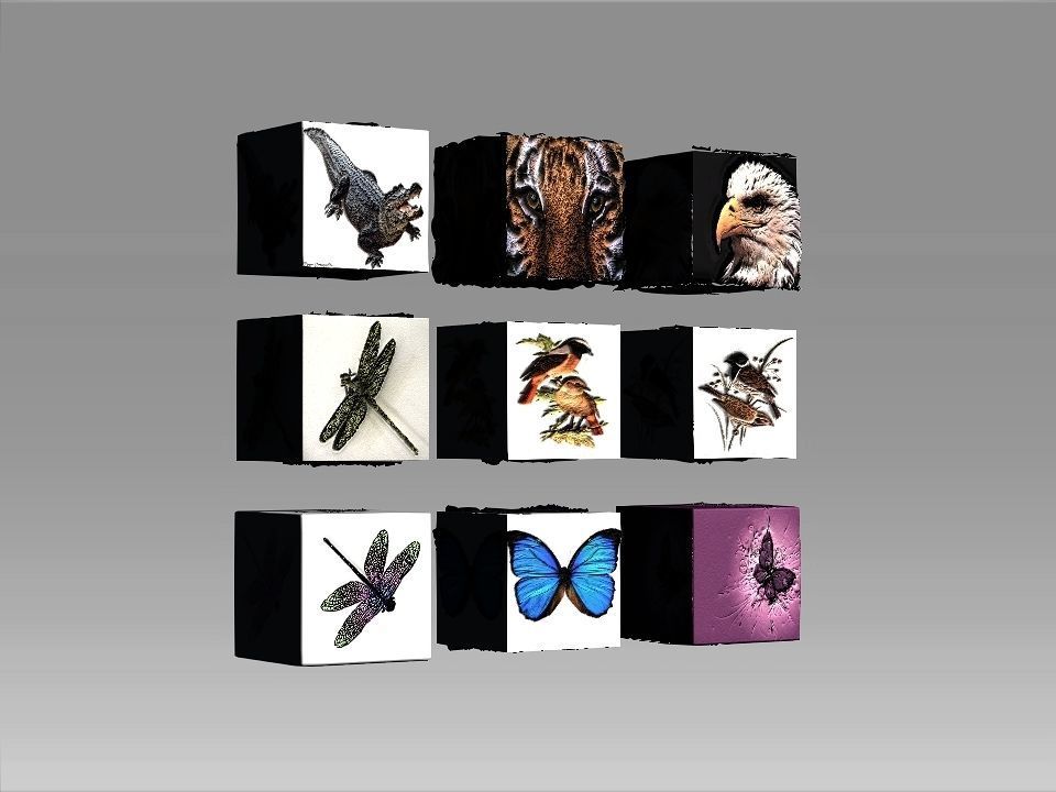 9 Textures collection box with birds Texture_4