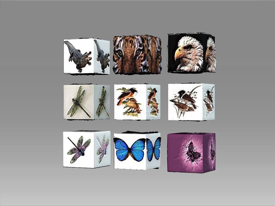 9 Textures collection box with birds Texture_2