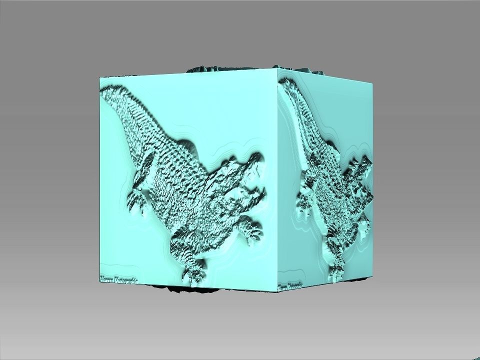 9 Textures collection box with birds Texture_17