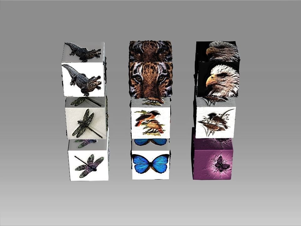 9 Textures collection box with birds Texture_6