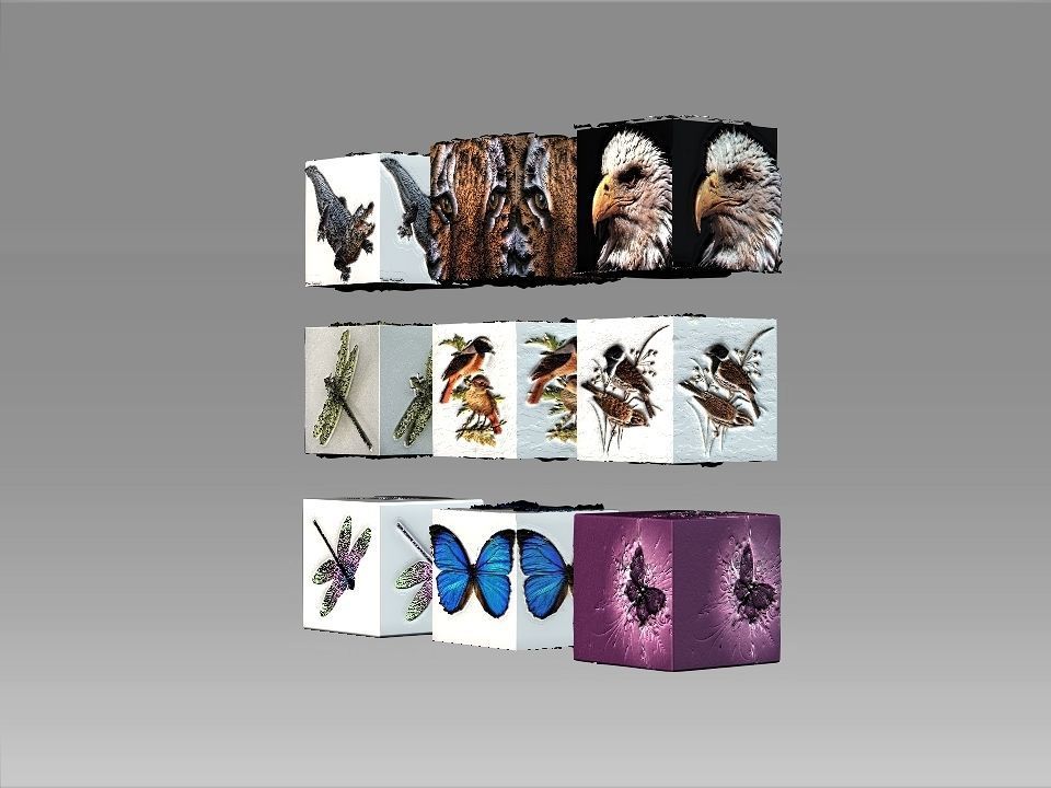 9 Textures collection box with birds Texture_3