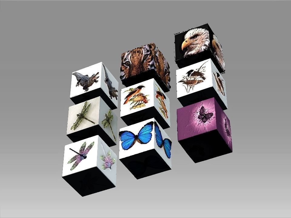 9 Textures collection box with birds Texture_8