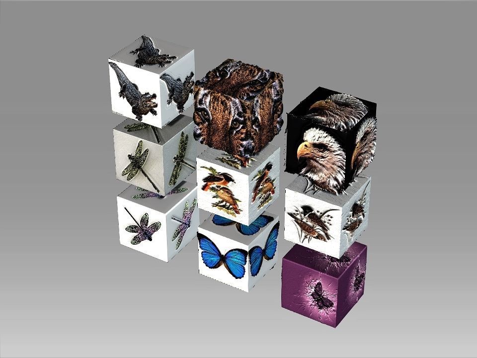 9 Textures collection box with birds Texture_9