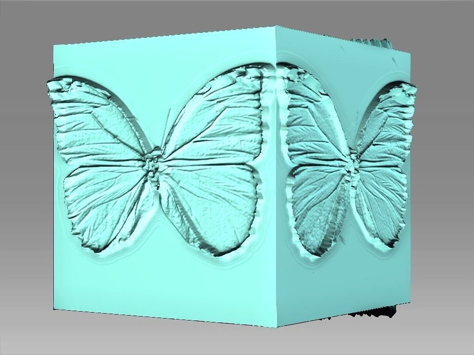 9 Textures collection box with birds Texture_1