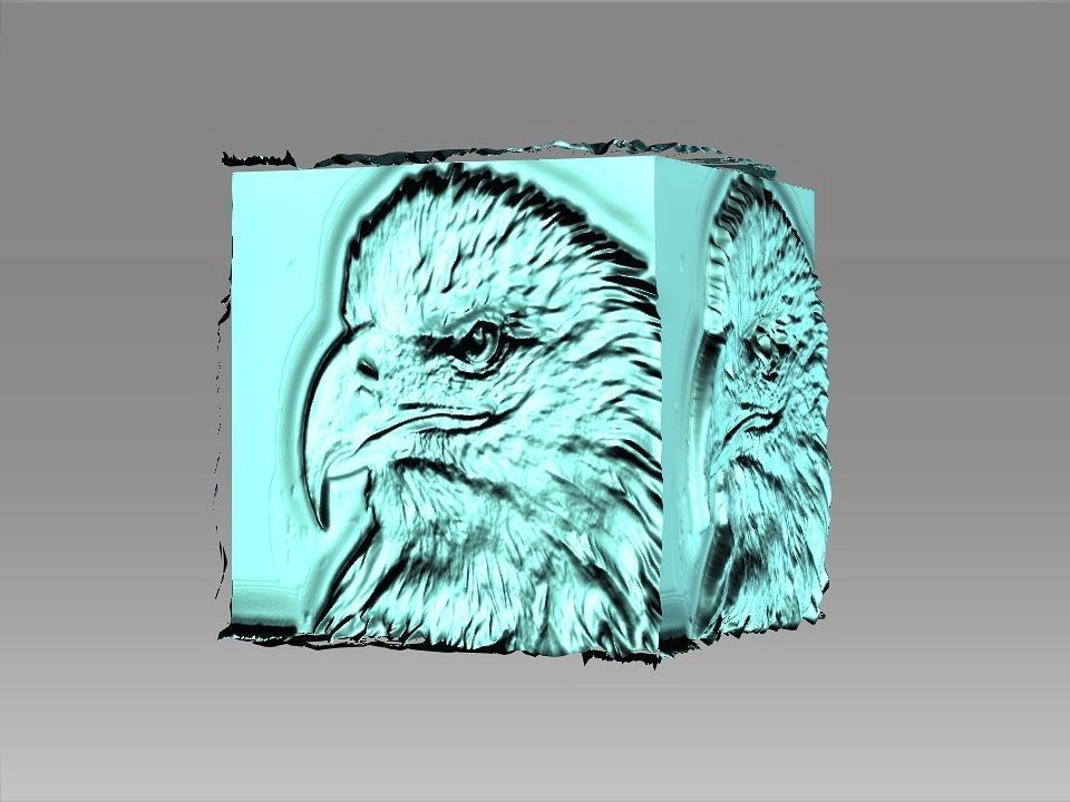9 Textures collection box with birds Texture_15