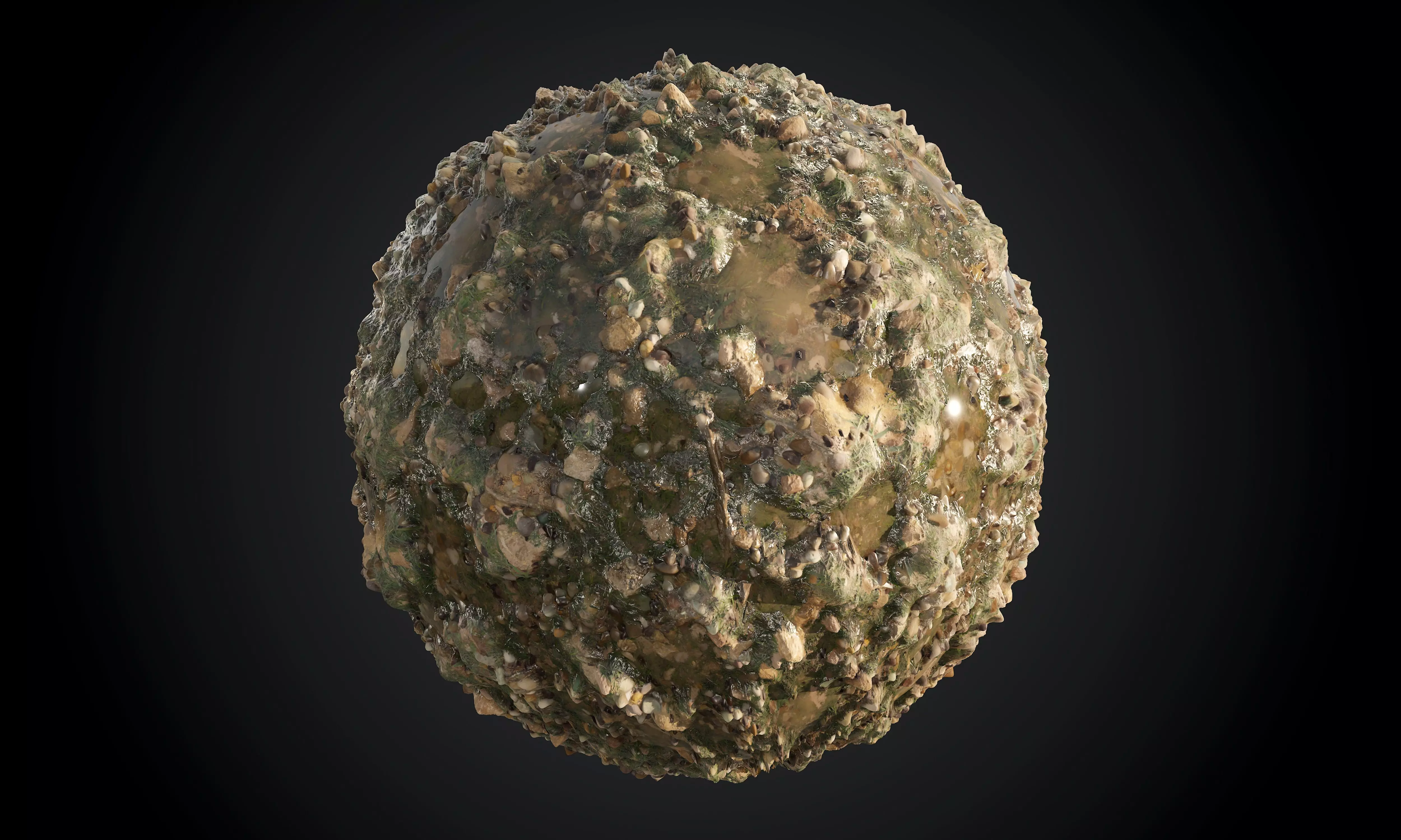 Swamp Ground Terrain Seamless PBR Texture Texture