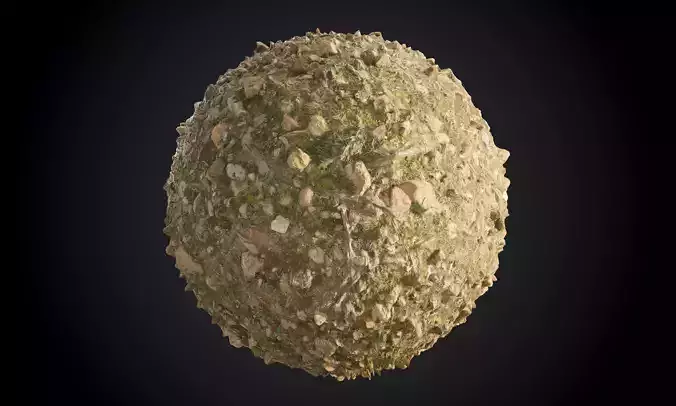 Forest Ground Dirt Mud Seamless PBR Texture