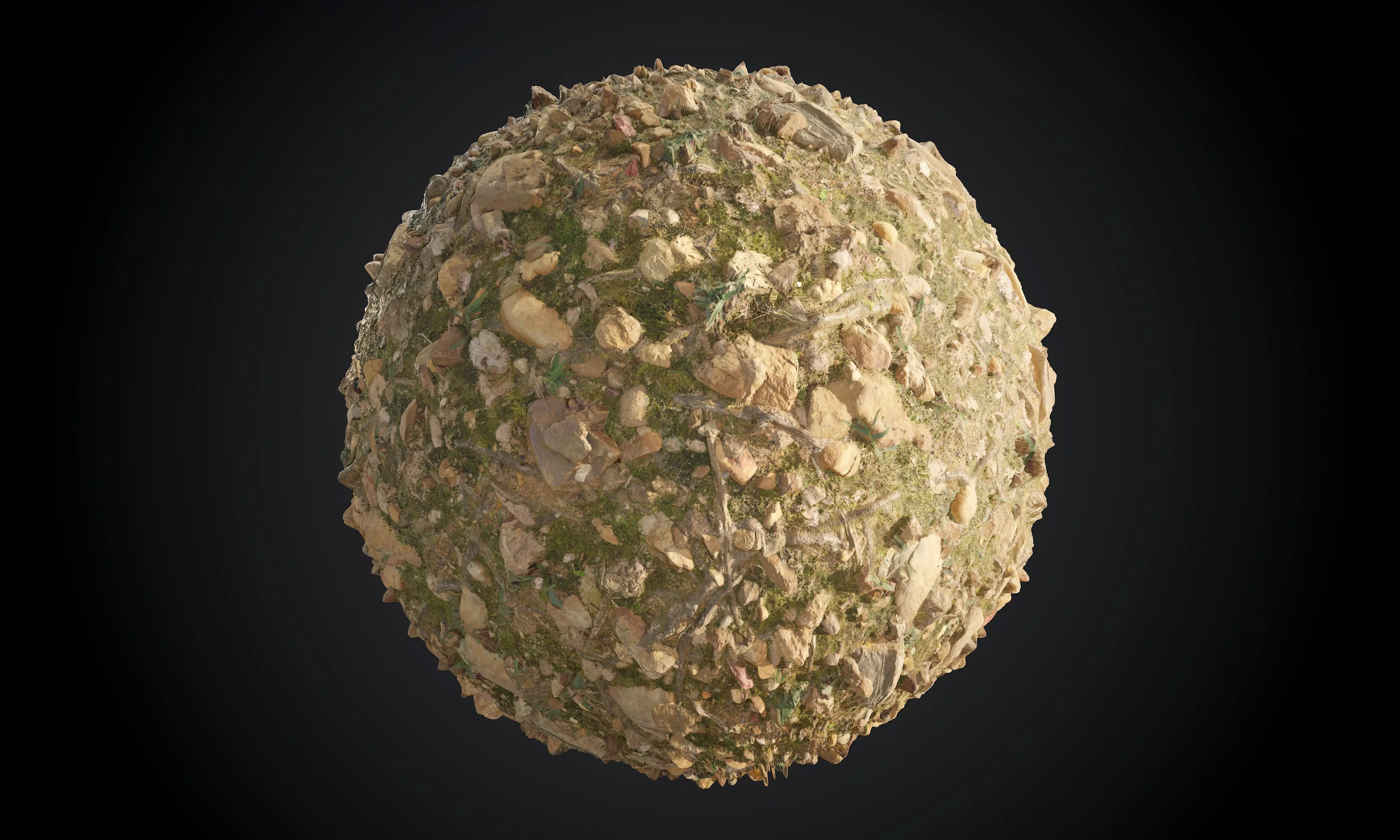 Forest Ground Terrain Seamless PBR Texture Texture_0