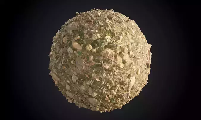 Forest Ground Terrain Seamless PBR Texture