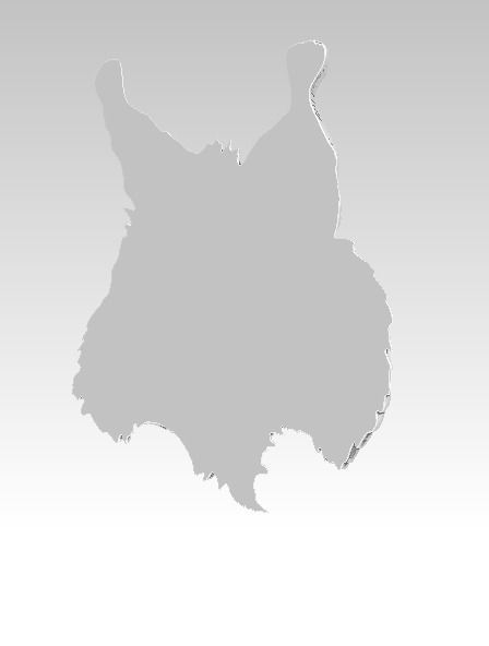 Lynx cat wild cat puma tiger Detailed relief 3D print model_3