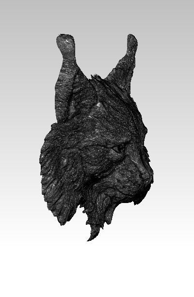 Lynx cat wild cat puma tiger Detailed relief 3D print model_4