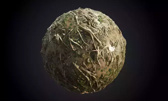 Forest Swamp Mud Seamless PBR Texture Texture