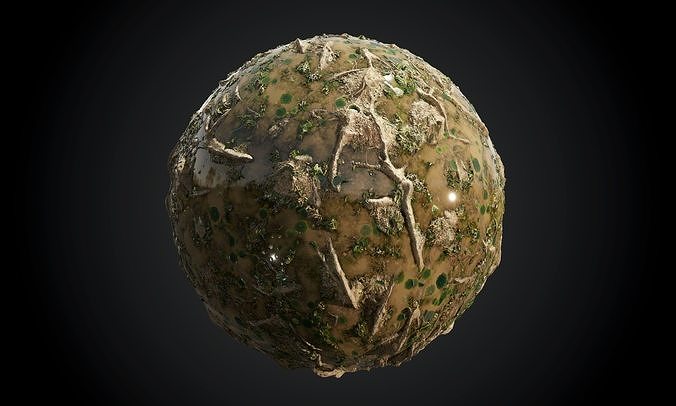 Forest Swamp Mud Soil Seamless PBR Texture Texture