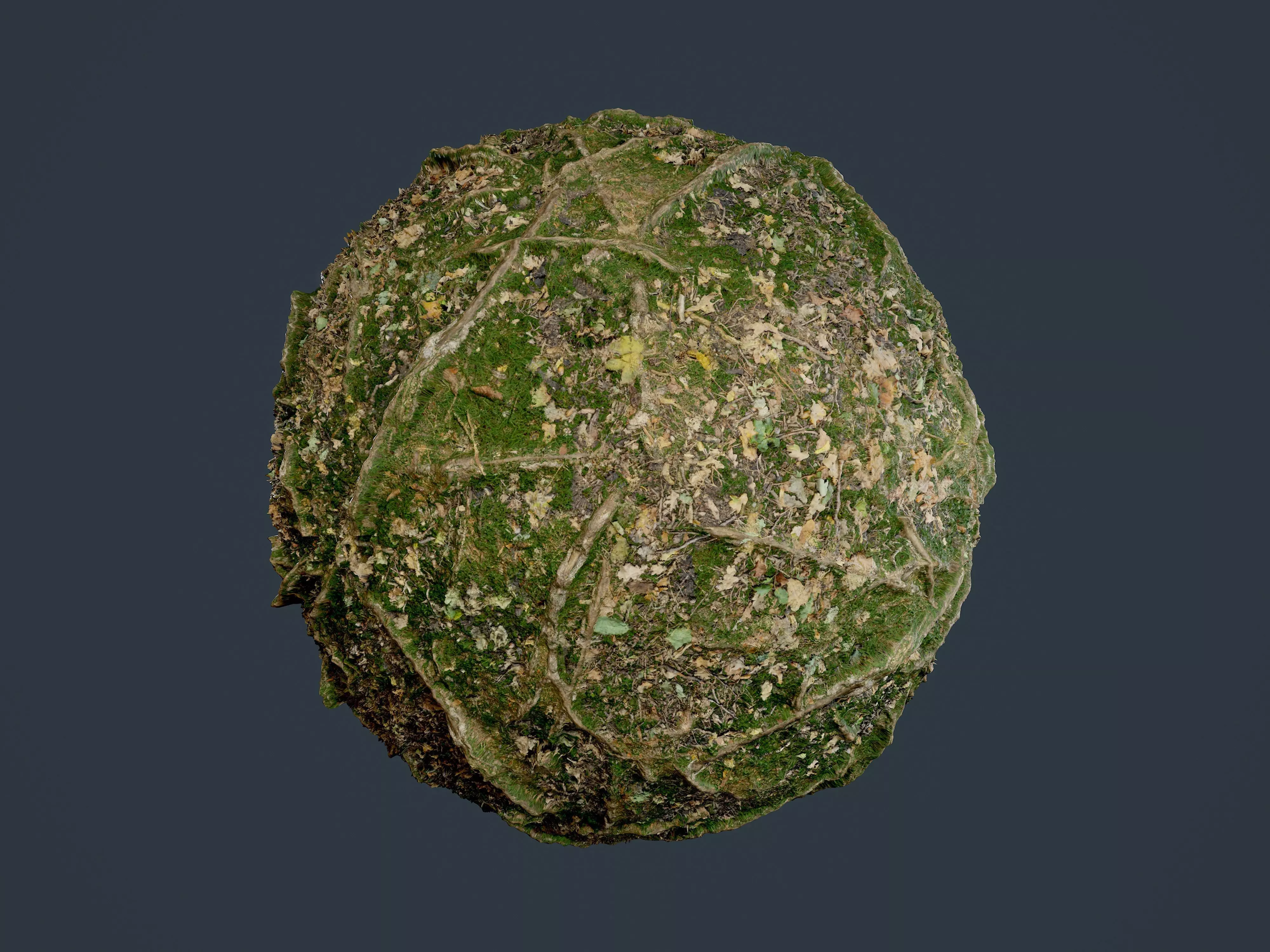 Forest Ground Terrain Seamless PBR Texture 01 Texture_0