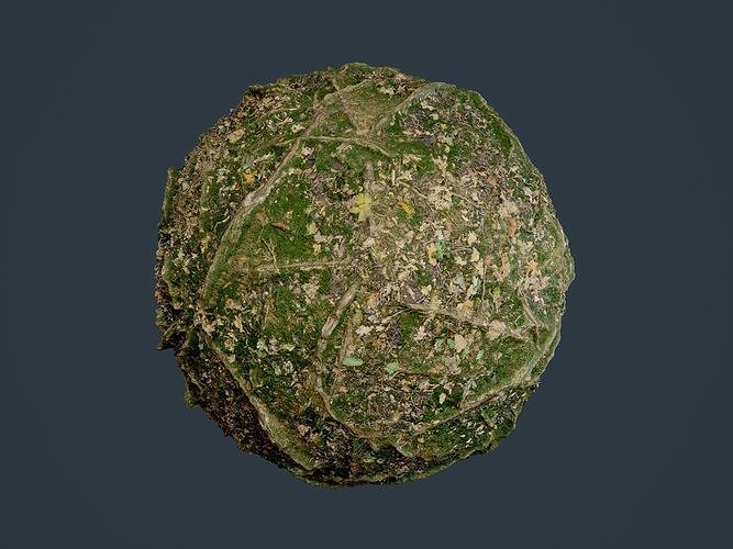 Forest Ground Terrain Seamless PBR Texture 01 Texture