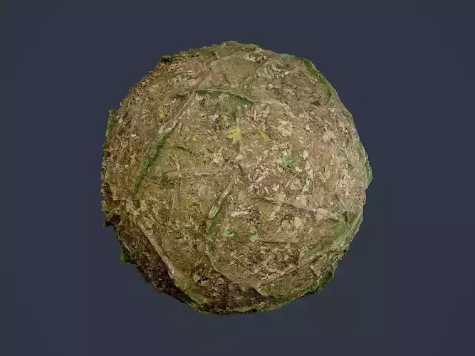 Forest Ground Seamless PBR Texture 02