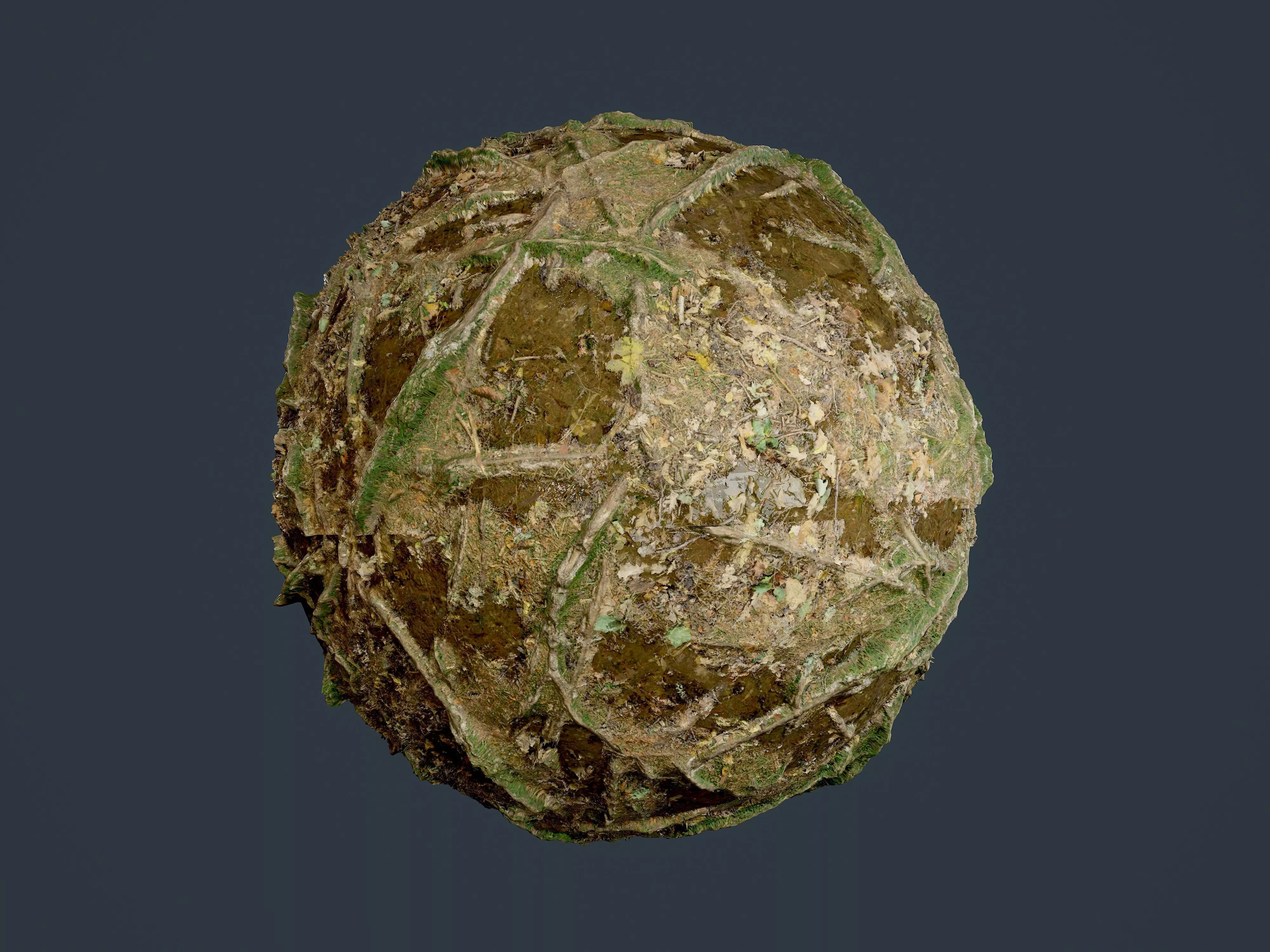 Forest Ground Seamless PBR Texture 03 Texture_0