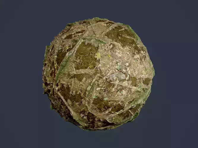 Forest Ground Seamless PBR Texture 03