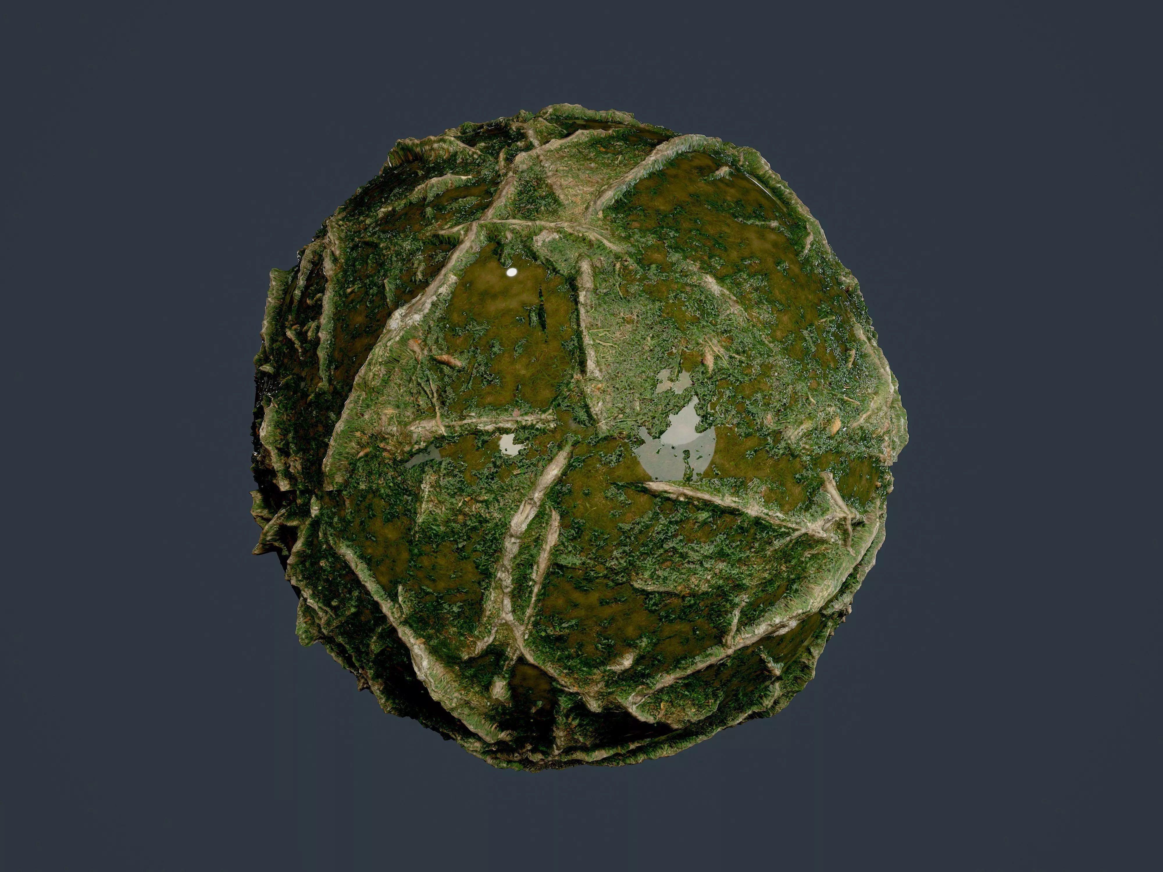 Forest Ground Seamless PBR Texture 05 Texture_0