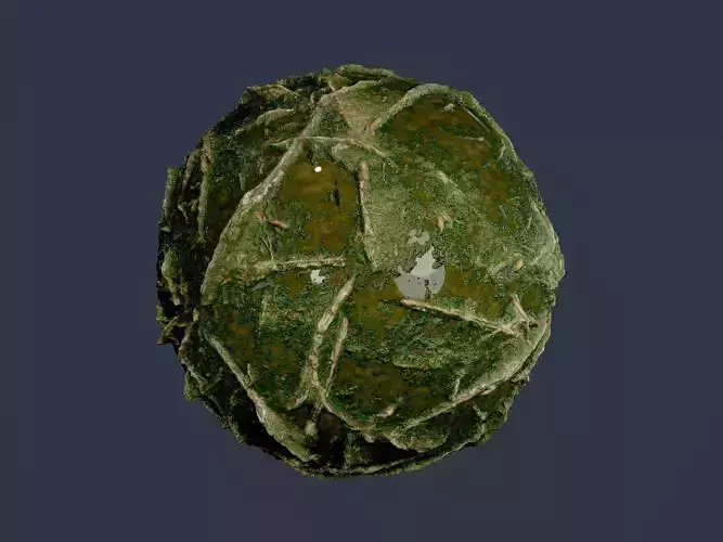 Forest Ground Seamless PBR Texture 05