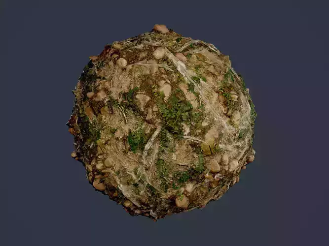 Forest Ground Seamless PBR Texture 06